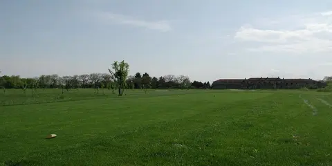 Il prato del campo con gli alberi